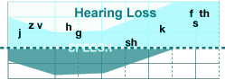 Moderate Loss Chart